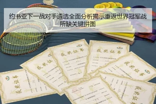 约书亚下一战对手遴选全面分析揭示重返世界冠军战所缺关键拼图