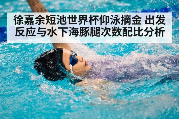 徐嘉余短池世界杯仰泳摘金 出发反应与水下海豚腿次数配比分析